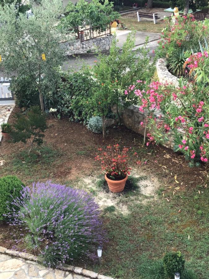 Apartmani Misic Ždrelac 외부 사진